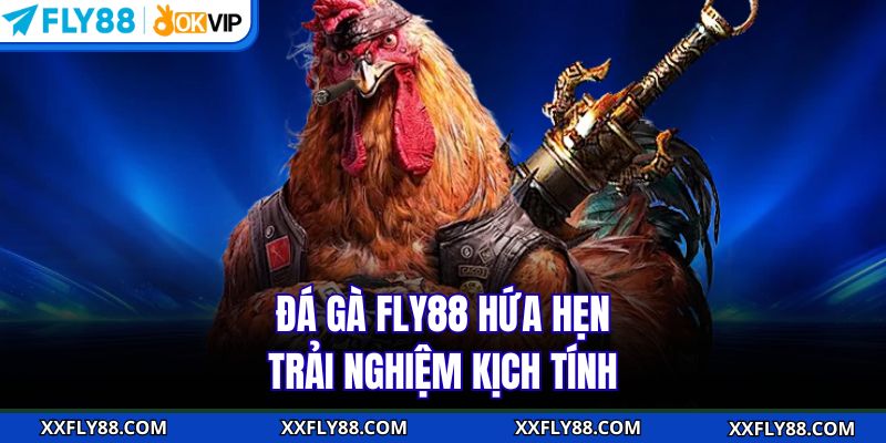 Đá gà FLY88 hứa hẹn trải nghiệm kịch tính