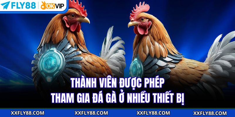 Thành viên được phép tham gia đá gà ở nhiều thiết bị
